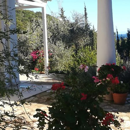 Villa Buras Skinária المظهر الخارجي الصورة