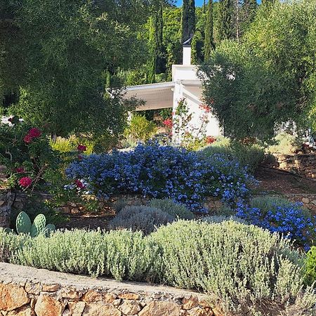 Villa Buras Skinária المظهر الخارجي الصورة