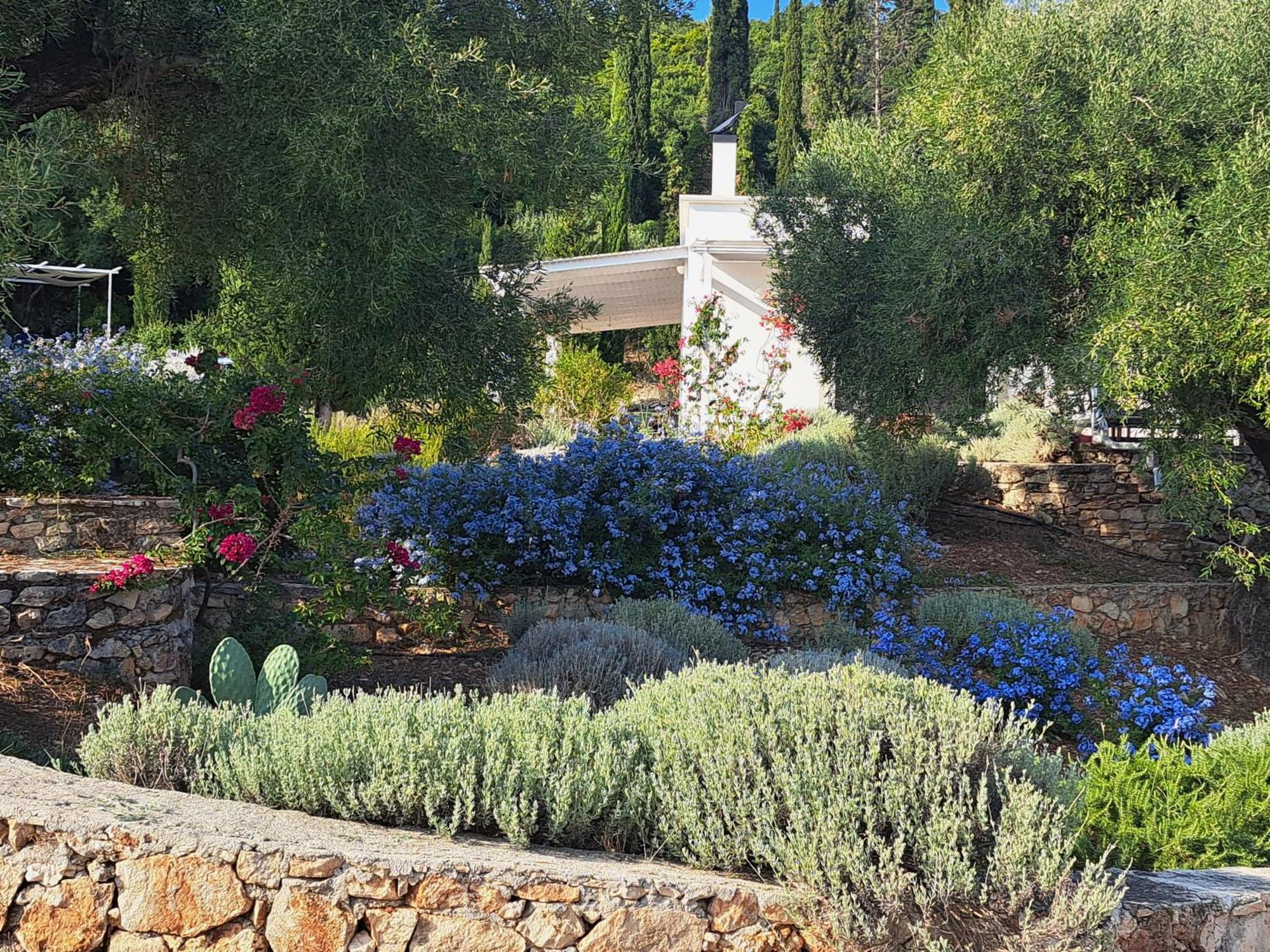 Villa Buras Skinária المظهر الخارجي الصورة