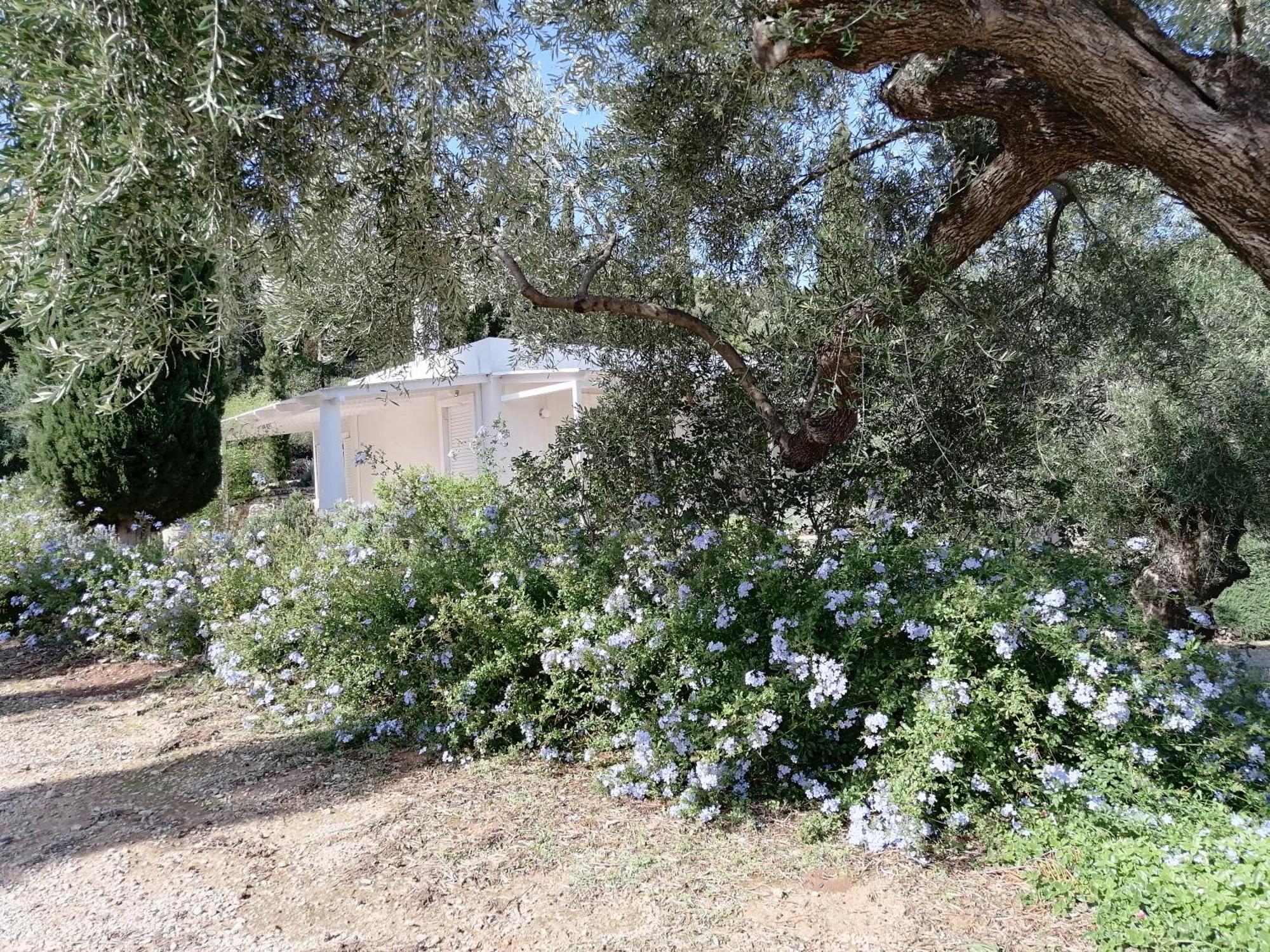 Villa Buras Skinária المظهر الخارجي الصورة