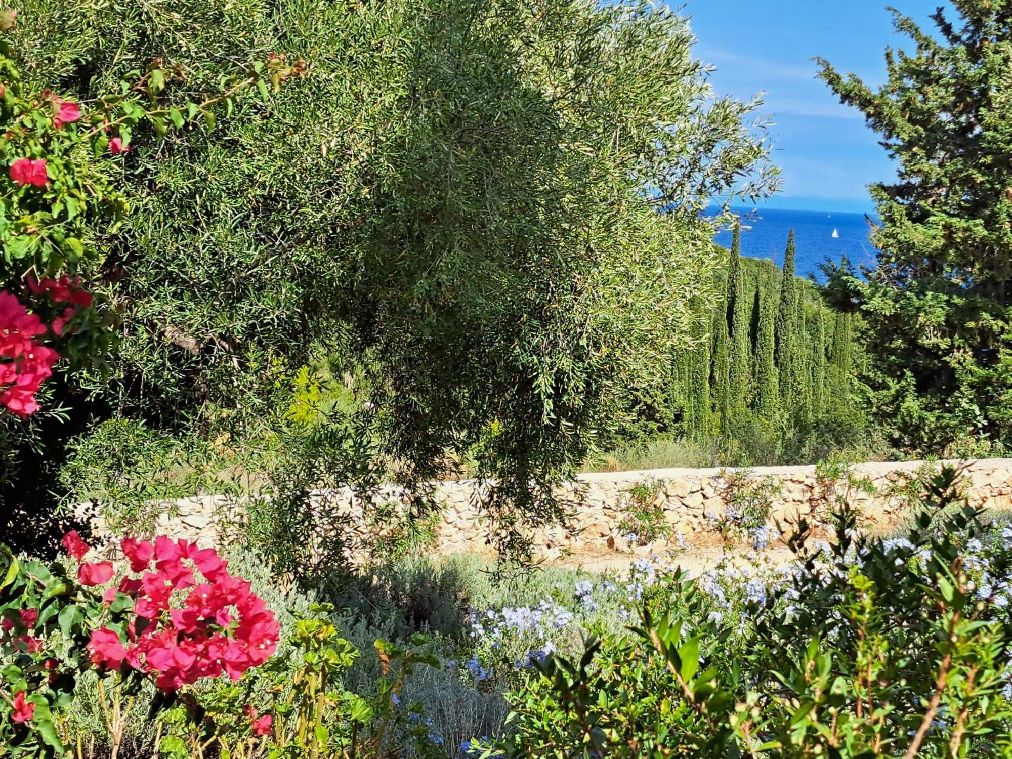 Villa Buras Skinária المظهر الخارجي الصورة