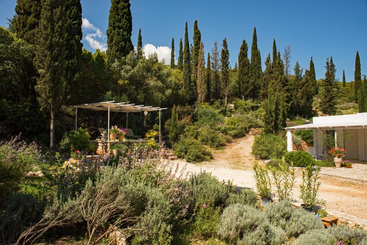 Villa Buras Skinária المظهر الخارجي الصورة